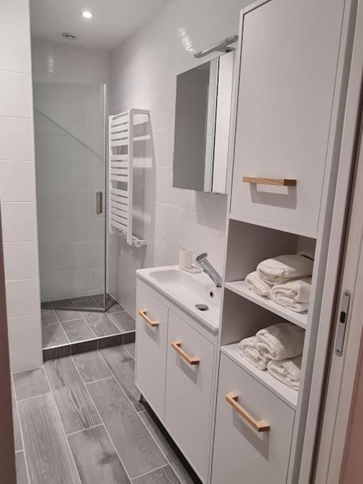 Elegant 2 Chambres Vieille Ville Besançon Zewnętrze zdjęcie